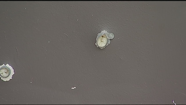 Police: SWAT situation over after suspect not found - WPXI Pittsburgh