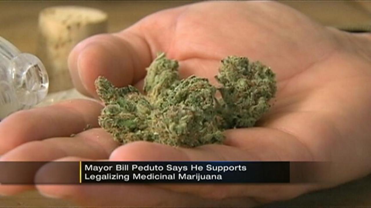 an argument supporting the legalization of marijuana for medical use Ten reasons to vote against medical marijuana in florida there are alternatives to medical marijuana legalization i'm not going to have an argument about. an argument supporting the legalization of marijuana for medical use Ten reasons to vote against medical marijuana in florida there are alternatives to medical marijuana legalization i'm not going to have an argument about.